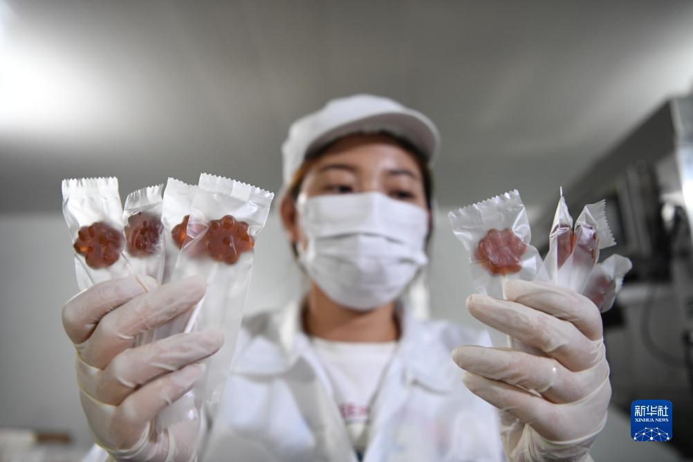 缅甸银钻娱乐怎么样